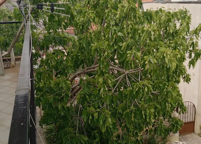 Christos ιιι Apartamento